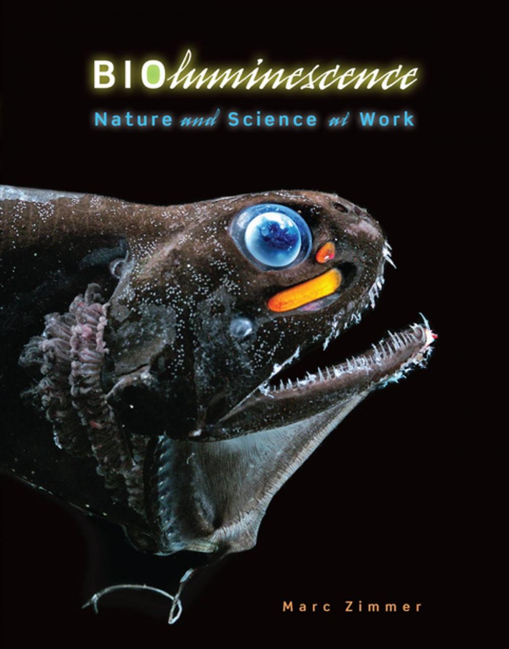 Big bigCover of Bioluminescence