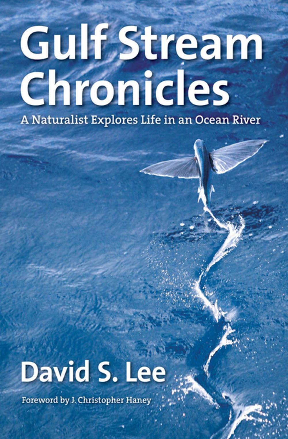 Big bigCover of Gulf Stream Chronicles