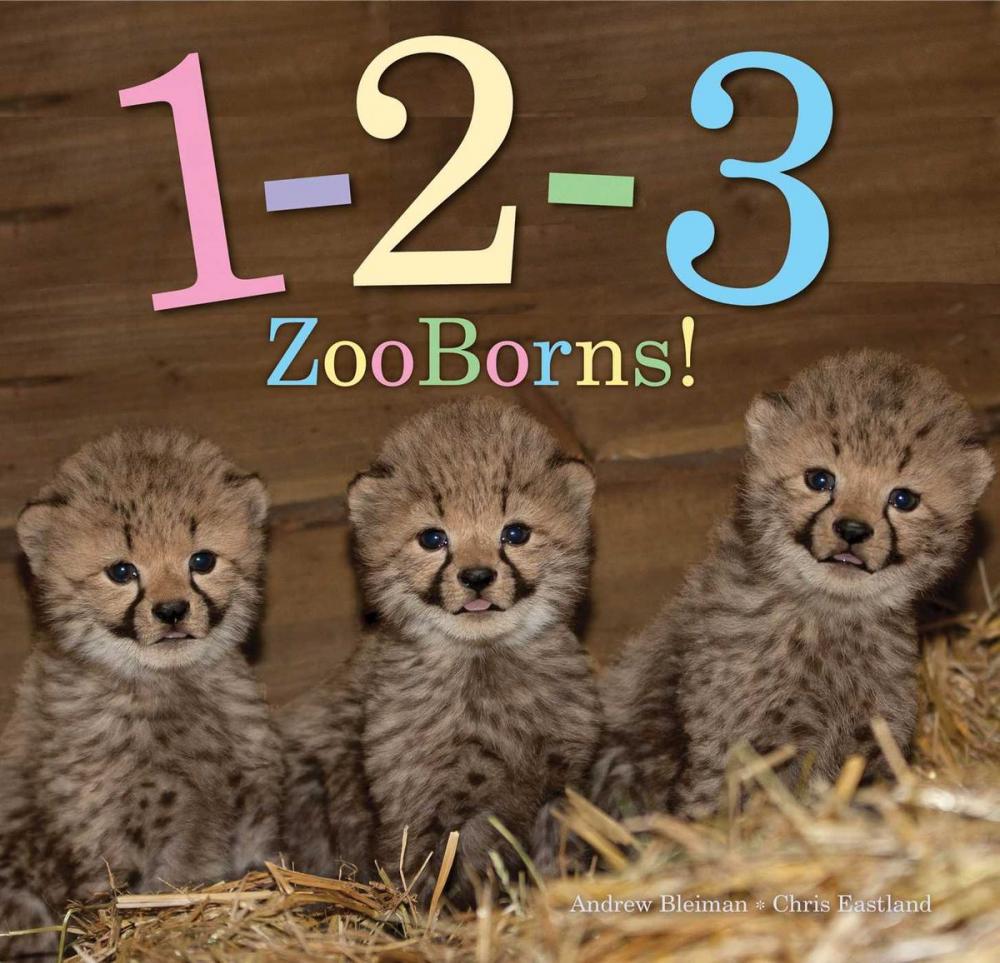 Big bigCover of 1-2-3 ZooBorns!