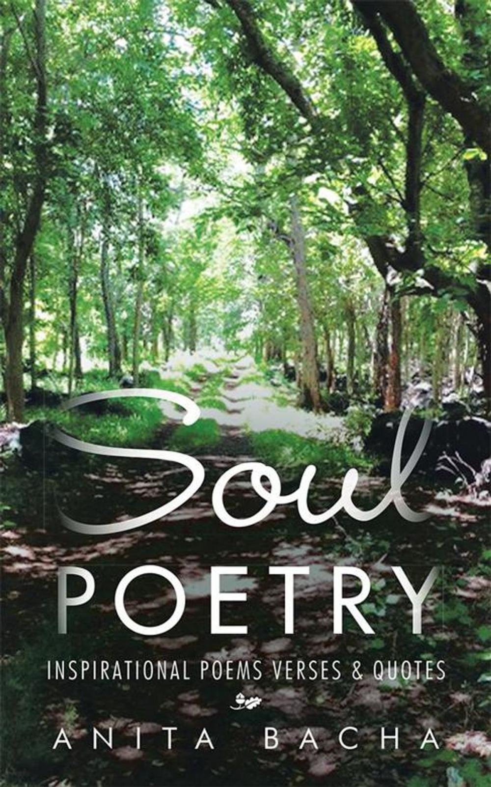 Big bigCover of Soul Poetry