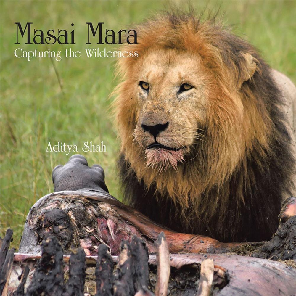 Big bigCover of Masai Mara Capturing the Wilderness