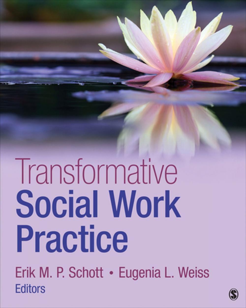 Big bigCover of Transformative Social Work Practice