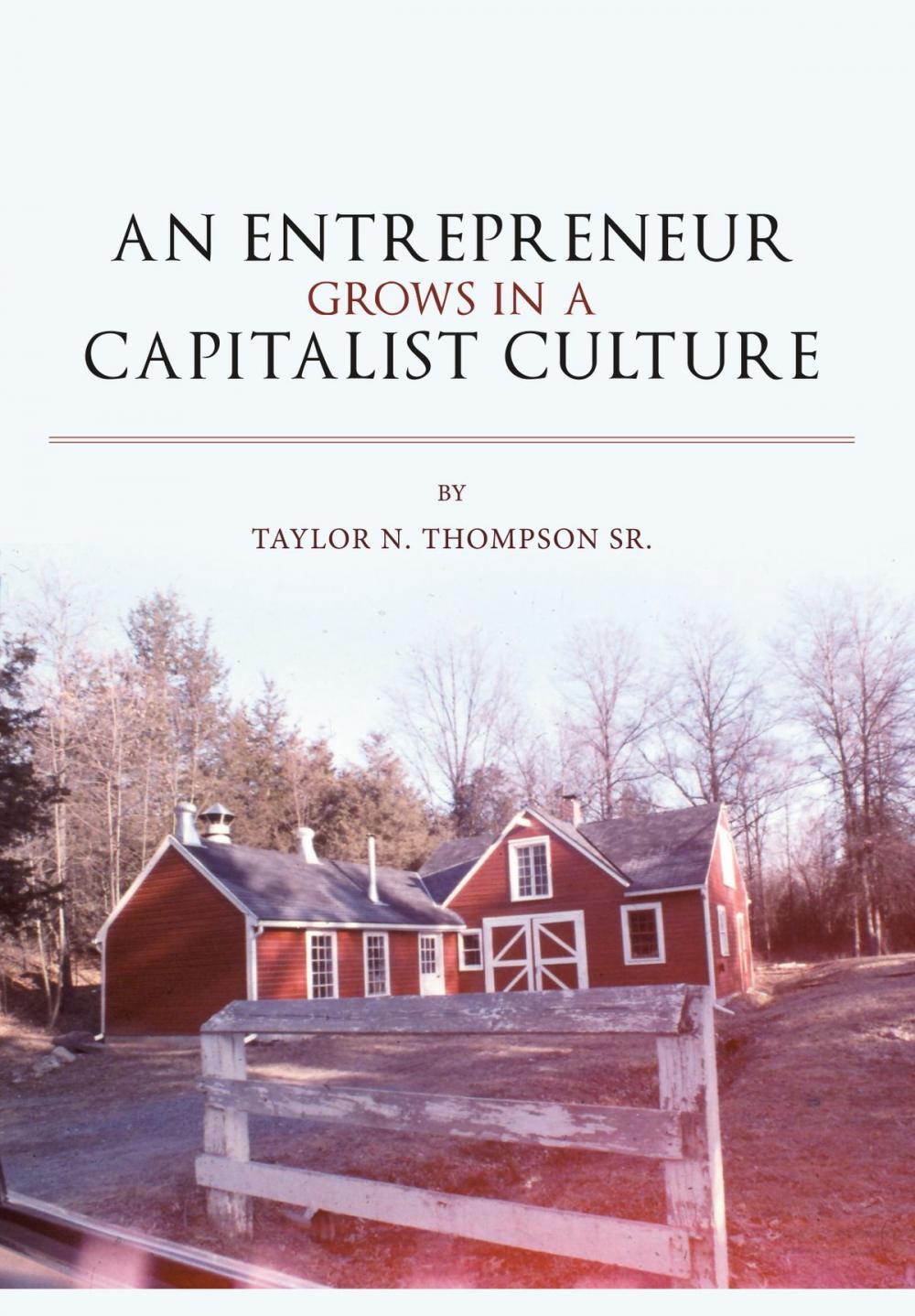 Big bigCover of An Entrepreneur Grows in a Capitalist Culture