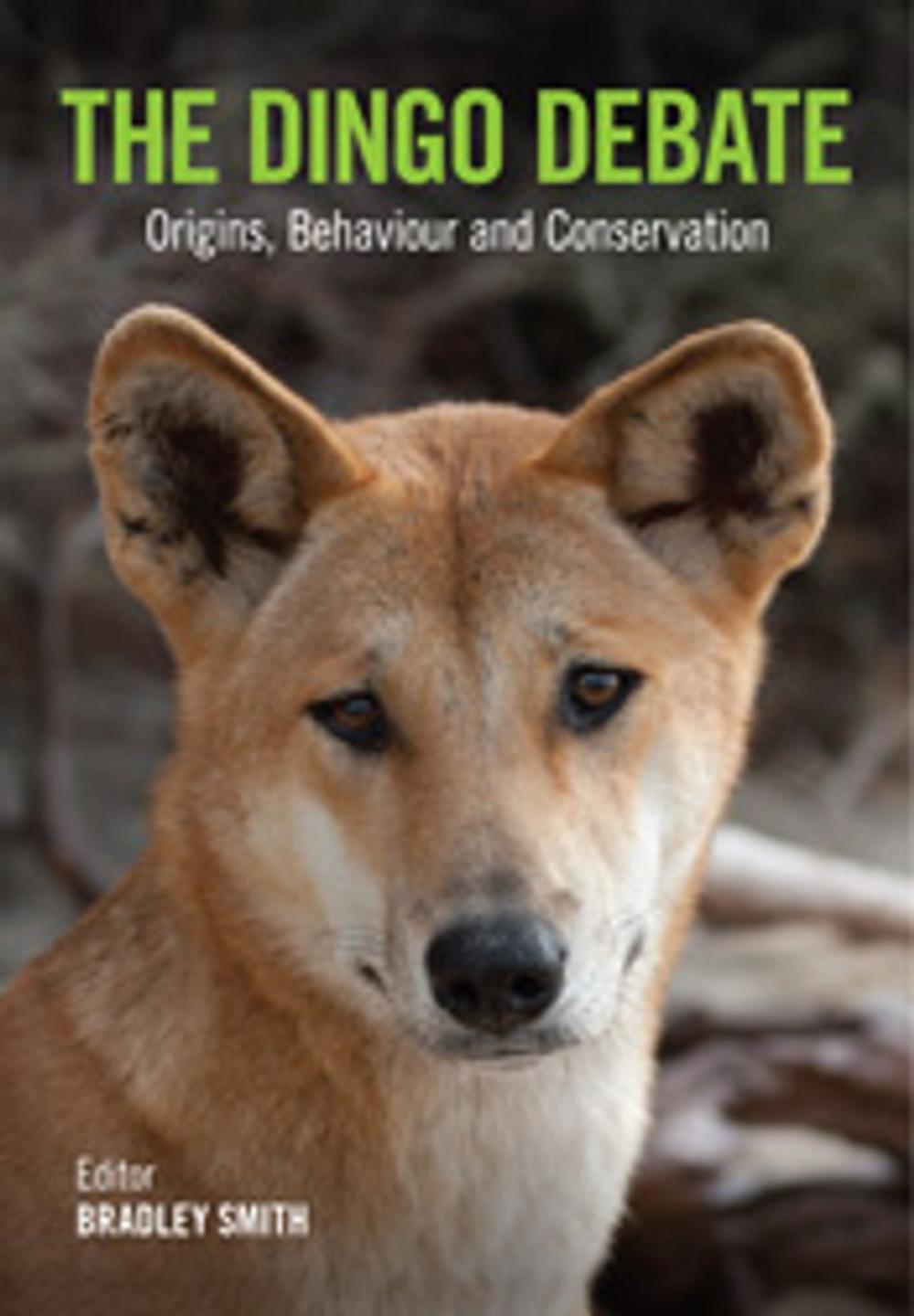 Big bigCover of The Dingo Debate