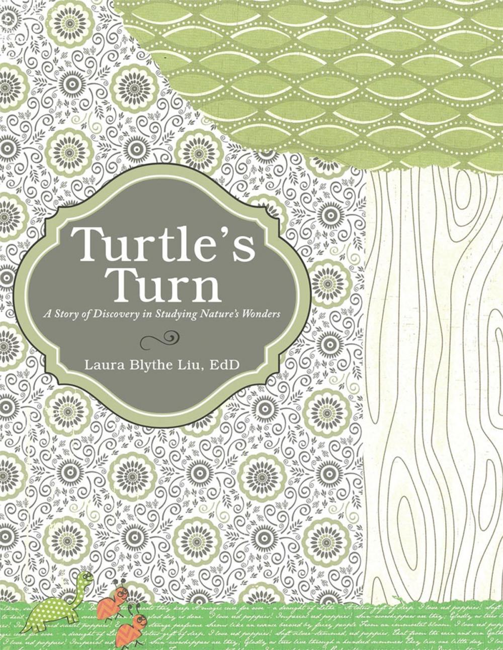 Big bigCover of Turtle's Turn