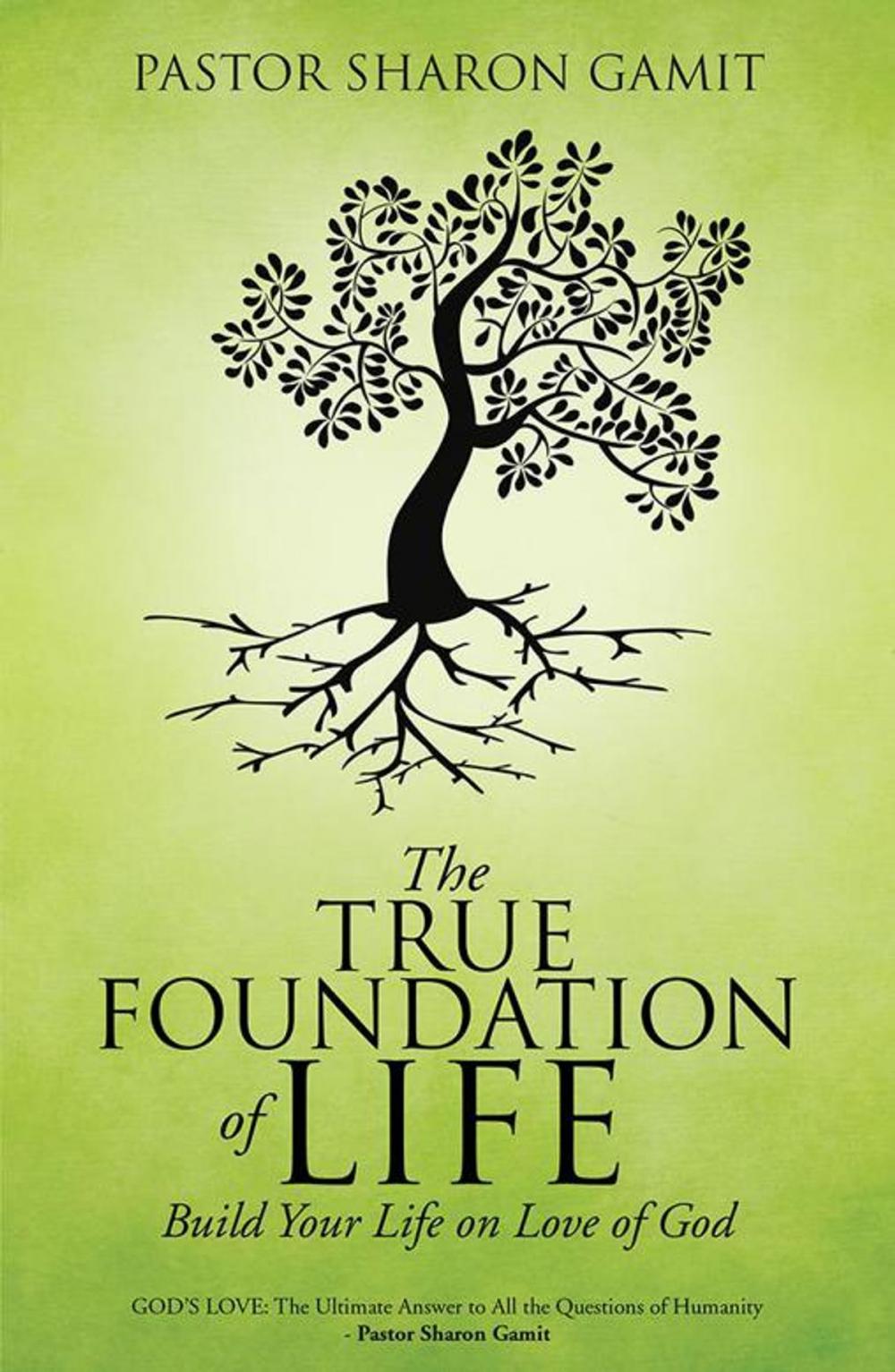 Big bigCover of The True Foundation of Life