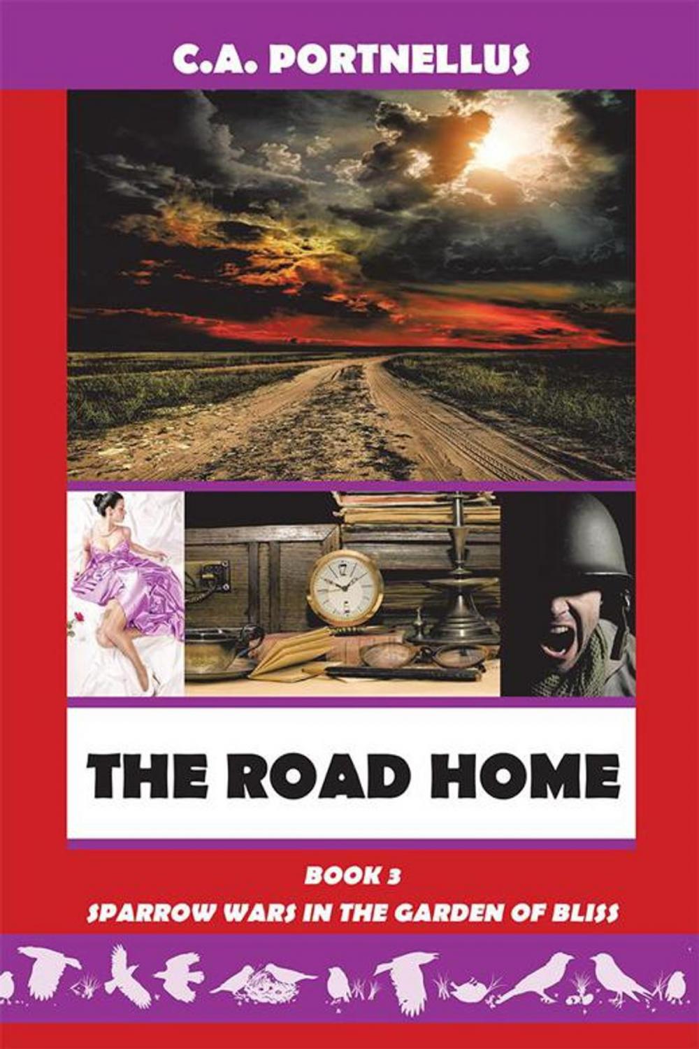 Big bigCover of The Road Home