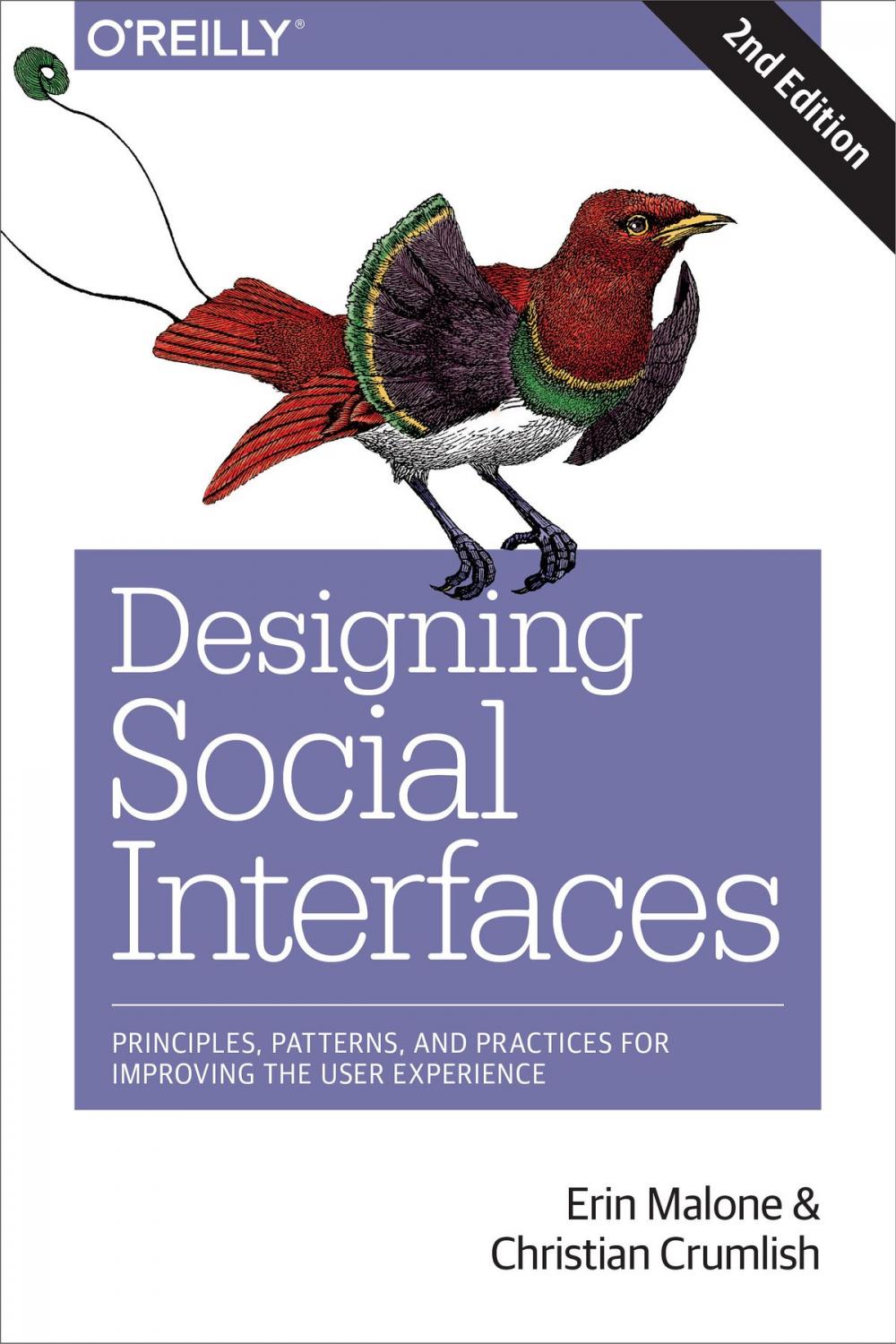 Big bigCover of Designing Social Interfaces