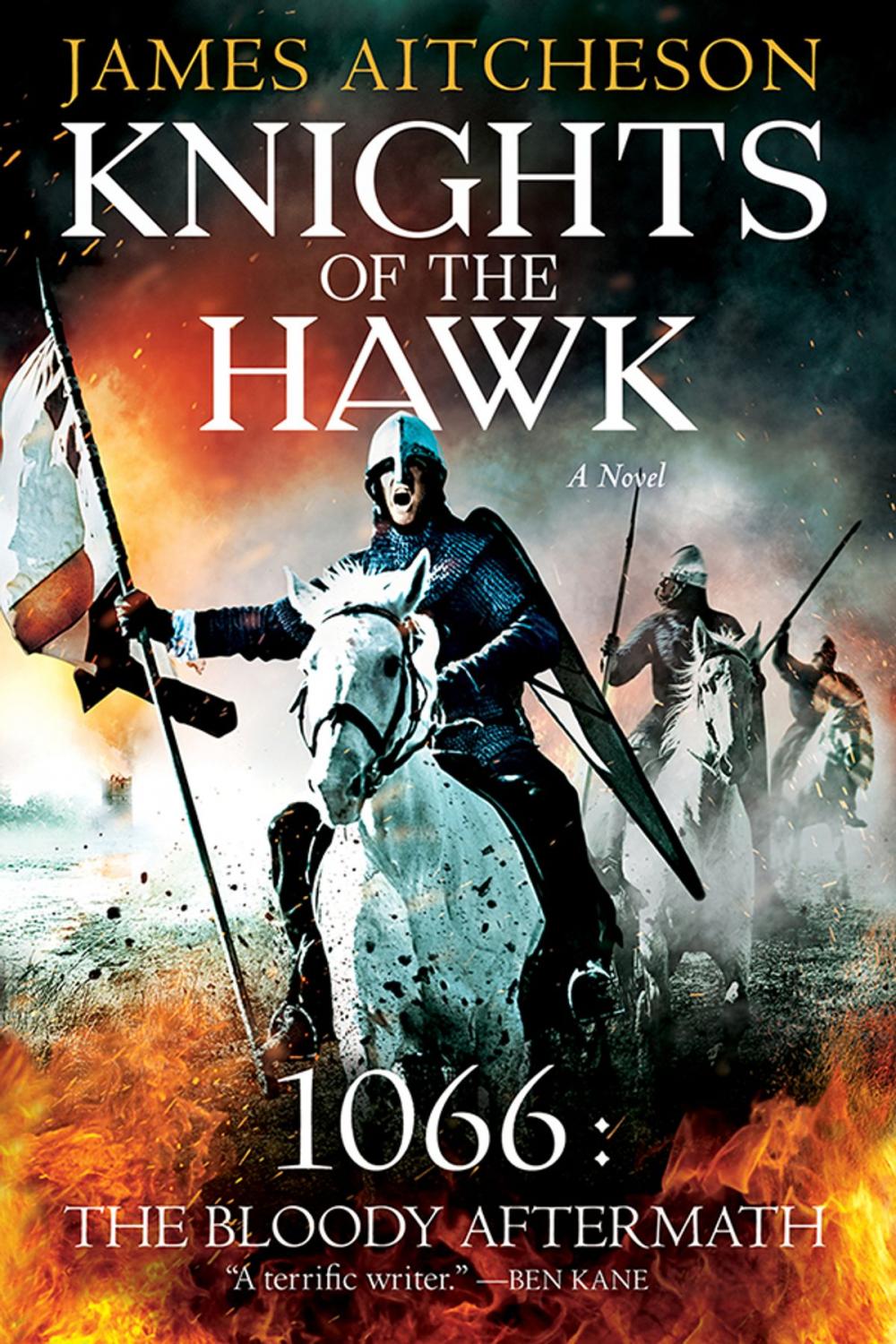 Big bigCover of Knights of the Hawk