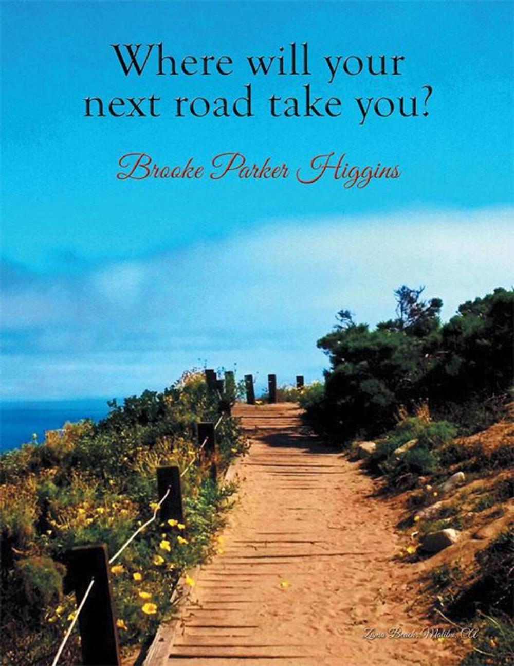 Big bigCover of Where Will Your Next Road Take You?