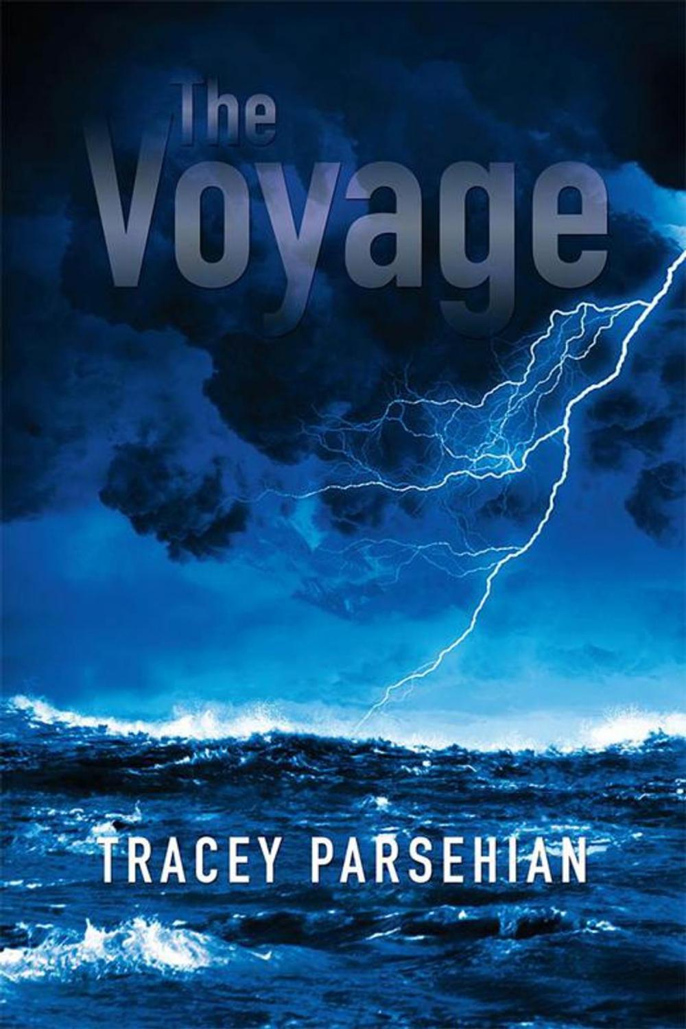 Big bigCover of The Voyage