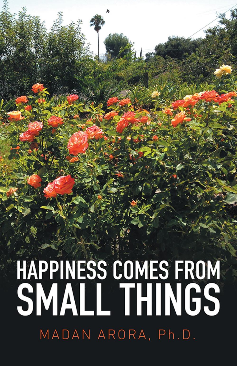 Big bigCover of Happiness Comes from Small Things