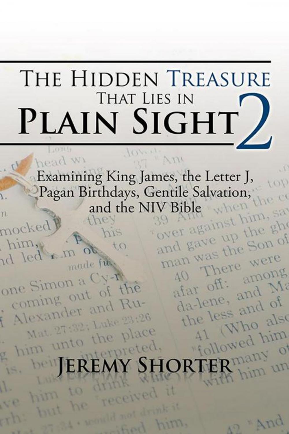 Big bigCover of The Hidden Treasure That Lies in Plain Sight 2