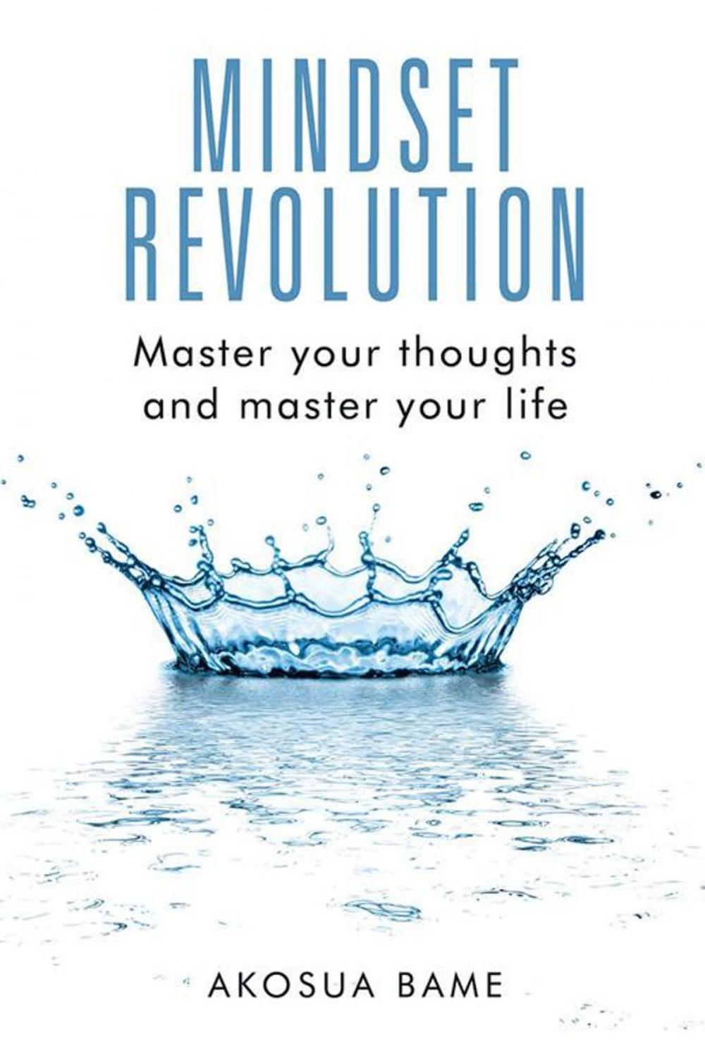 Big bigCover of Mindset Revolution