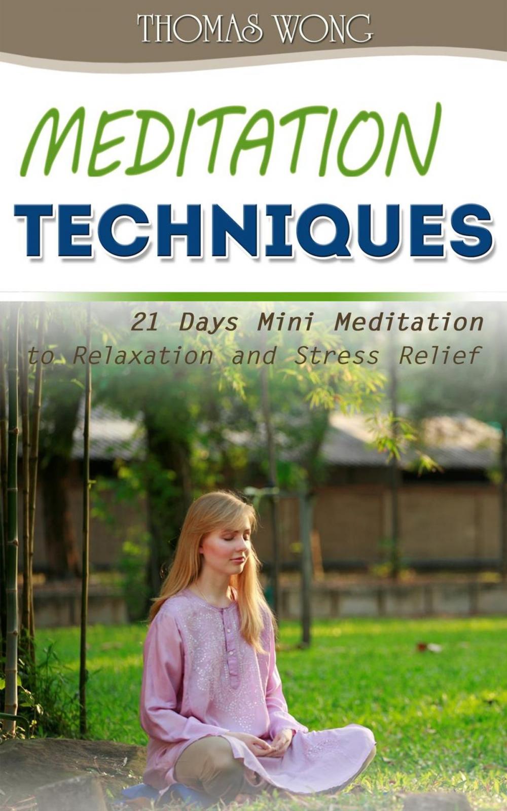 Big bigCover of Meditation Techniques: 21 Days Mini Meditation to Relaxation and Stress Relief