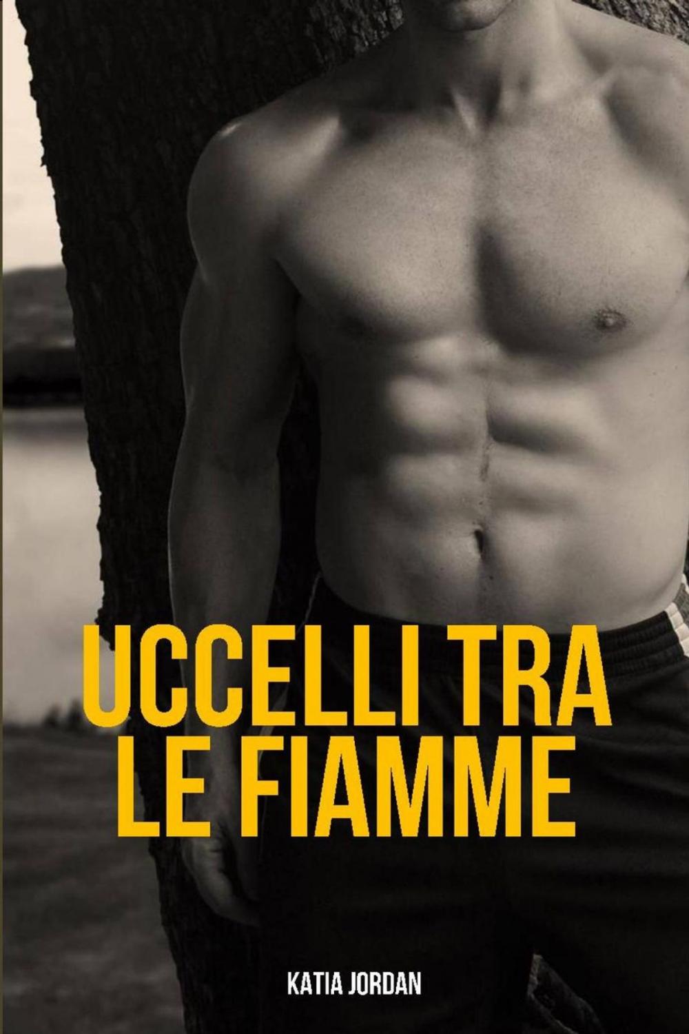 Big bigCover of Uccelli tra le fiamme