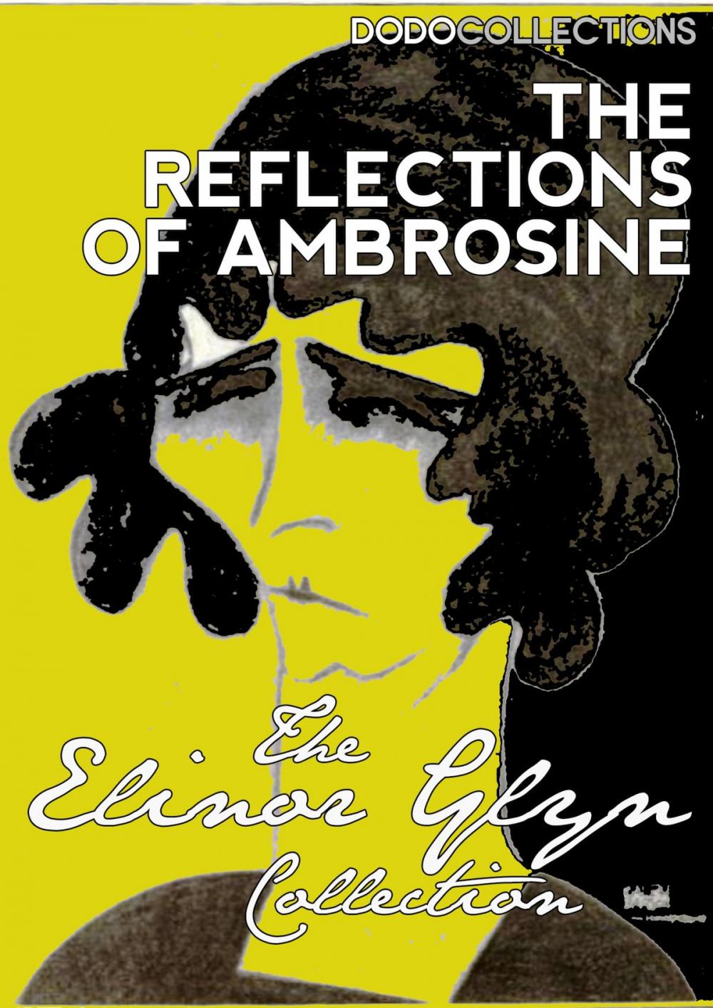 Big bigCover of The Reflections of Ambrosine: A Novel