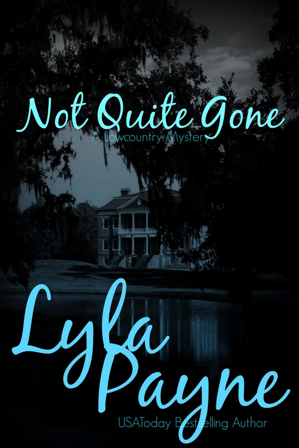 Big bigCover of Not Quite Gone (A Lowcountry Mystery)