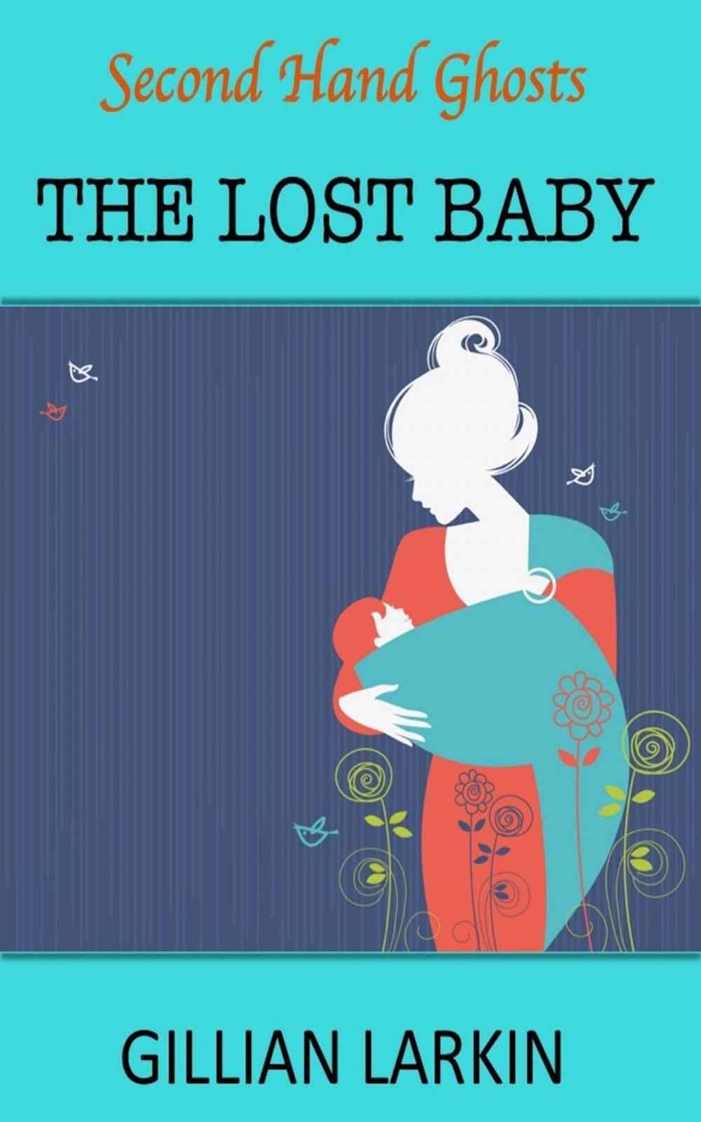 Big bigCover of The Lost Baby