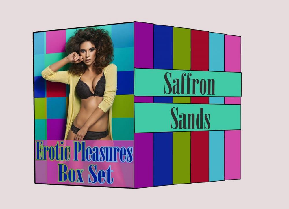 Big bigCover of Erotic Pleasures Box Set