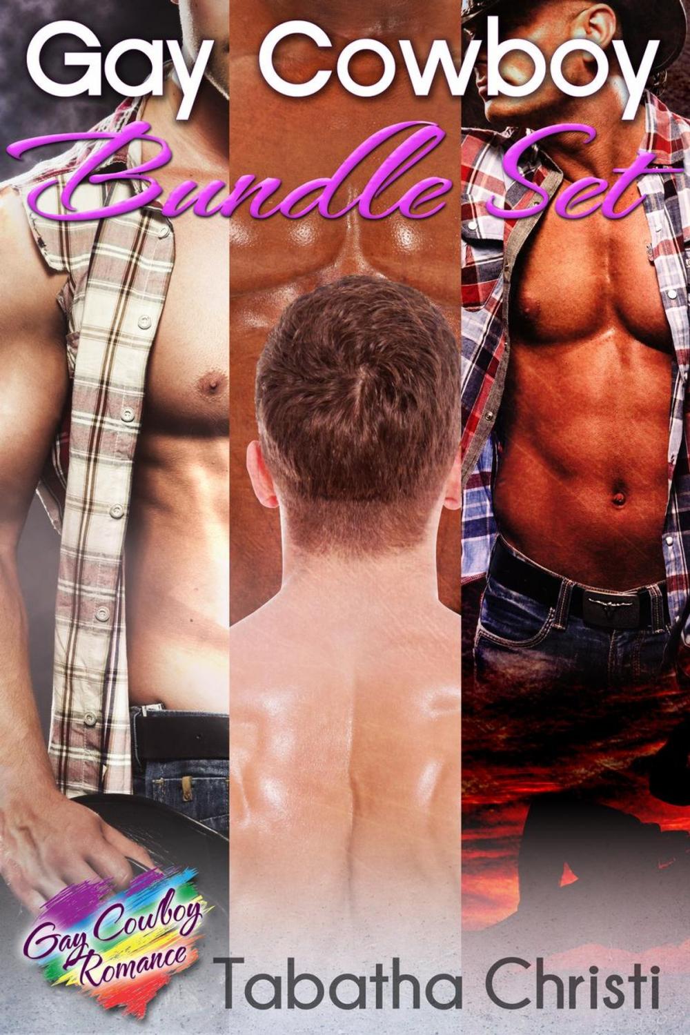 Big bigCover of Gay Cowboy Bundle Set