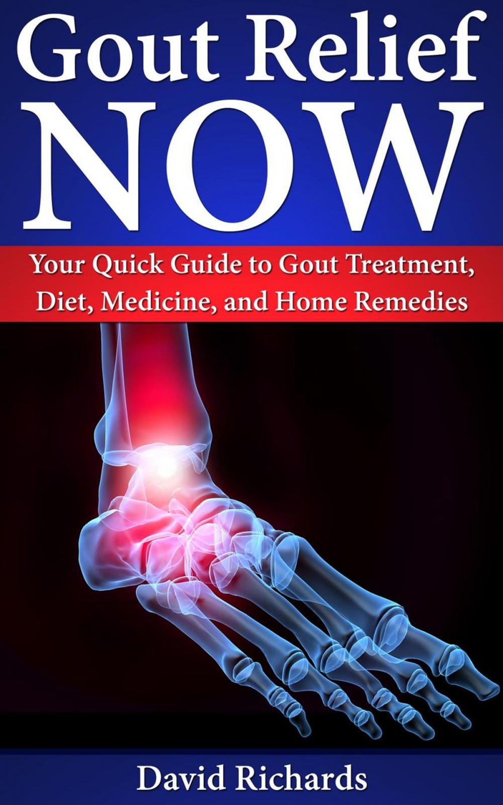 Big bigCover of Gout Relief Now: Your Quick Guide to Gout Treatment, Diet, Medicine, and Home Remedies