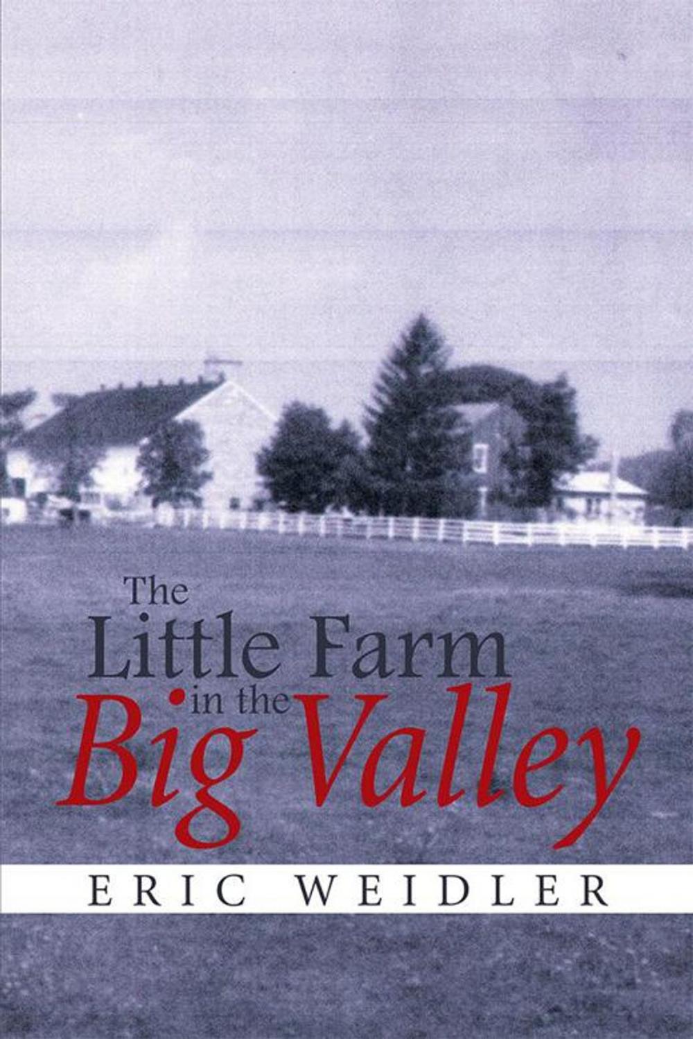 Big bigCover of The Little Farm in the Big Valley