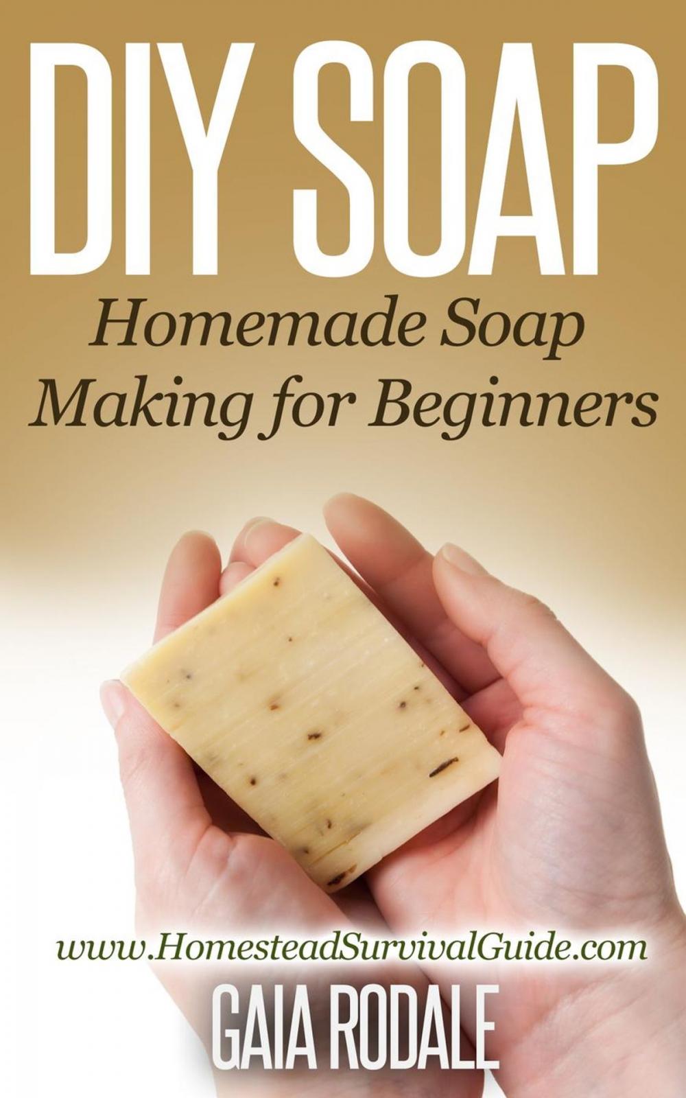 Big bigCover of DIY Soap: Homemade Soap Making for Beginners