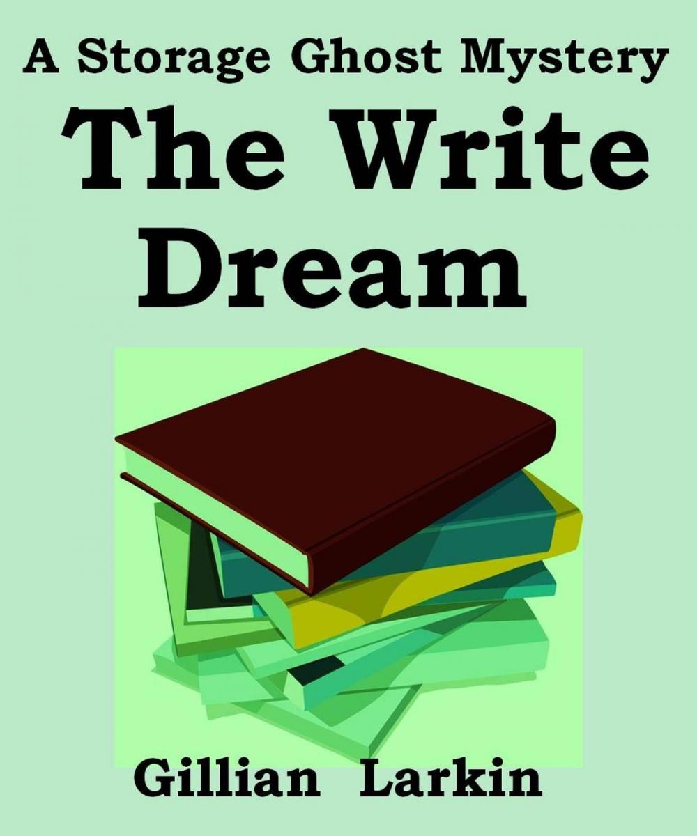 Big bigCover of The Write Dream