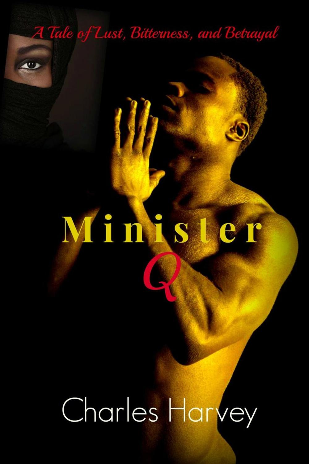 Big bigCover of Minister Q