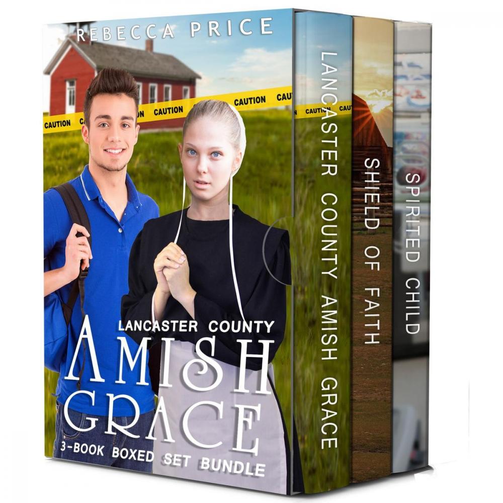 Big bigCover of Lancaster County Amish Grace 3-Book Boxed Set