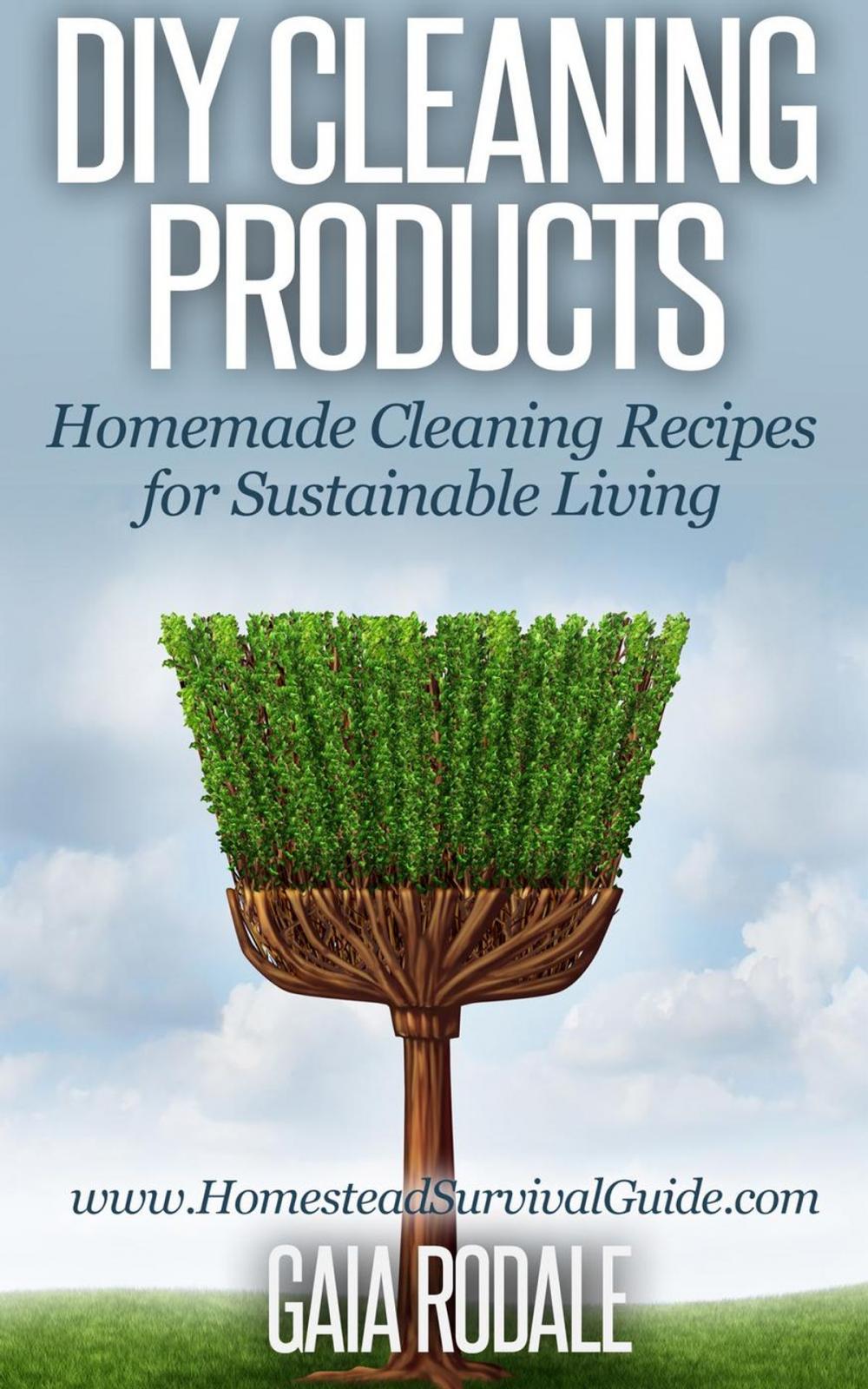 Big bigCover of DIY Cleaning Products: Homemade Cleaning Recipes for Sustainable Living