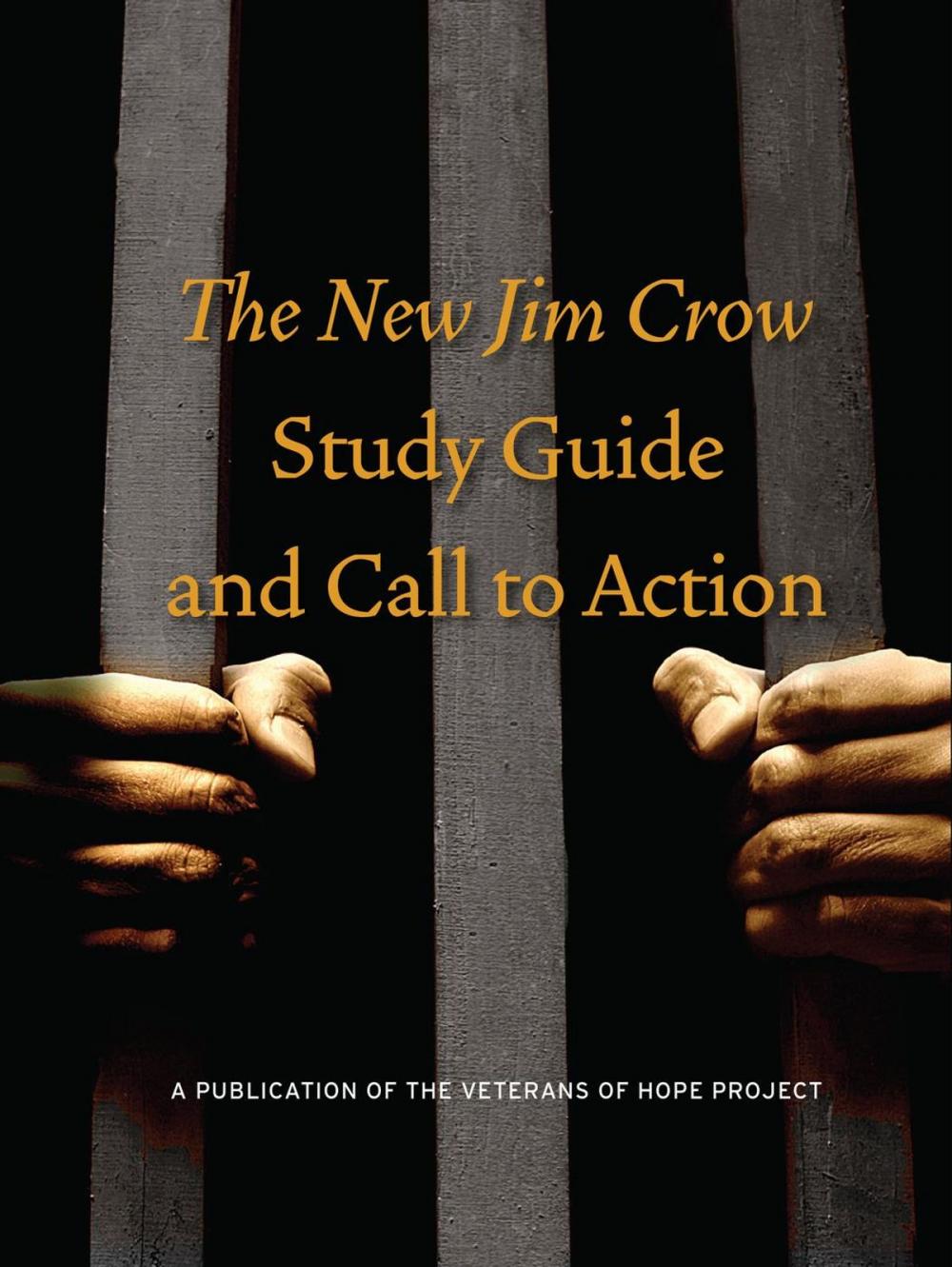 Big bigCover of The New Jim Crow Study Guide and Call to Action