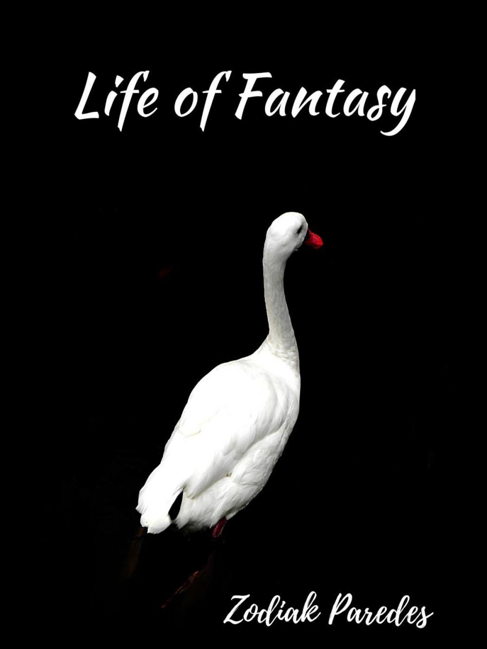 Big bigCover of Life of Fantasy