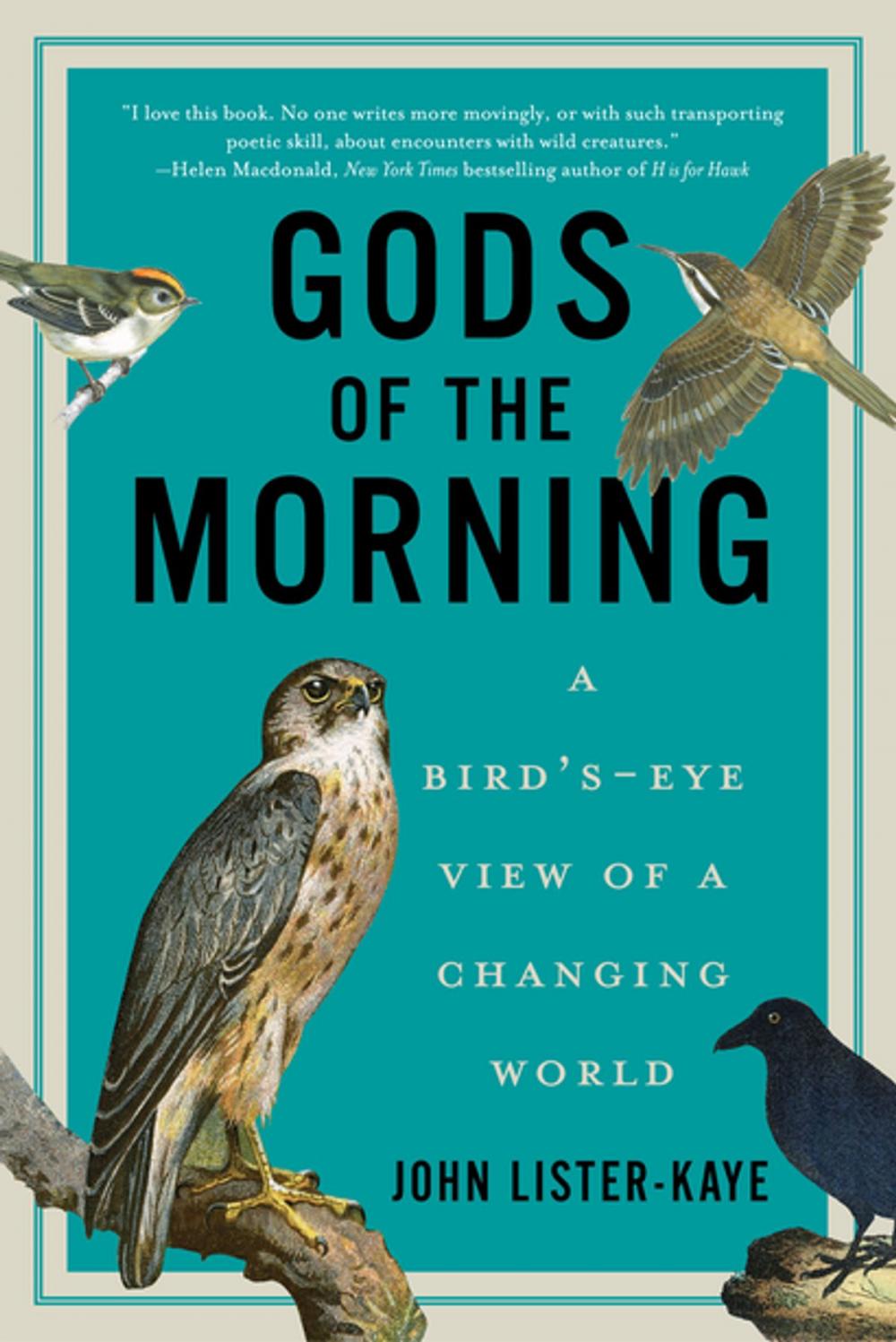 Big bigCover of Gods of the Morning: A Bird's-Eye View of a Changing World