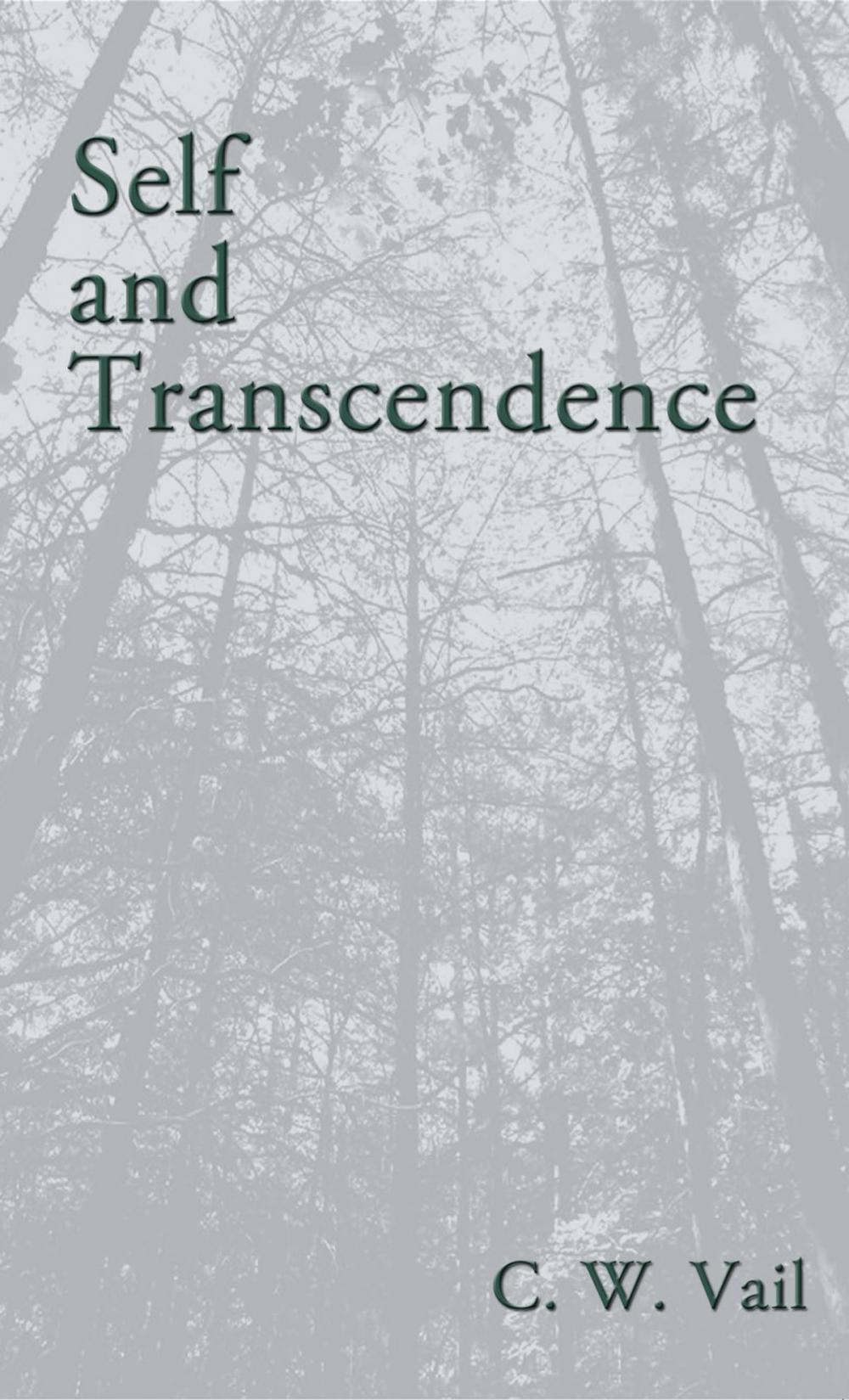 Big bigCover of Self and Transcendence