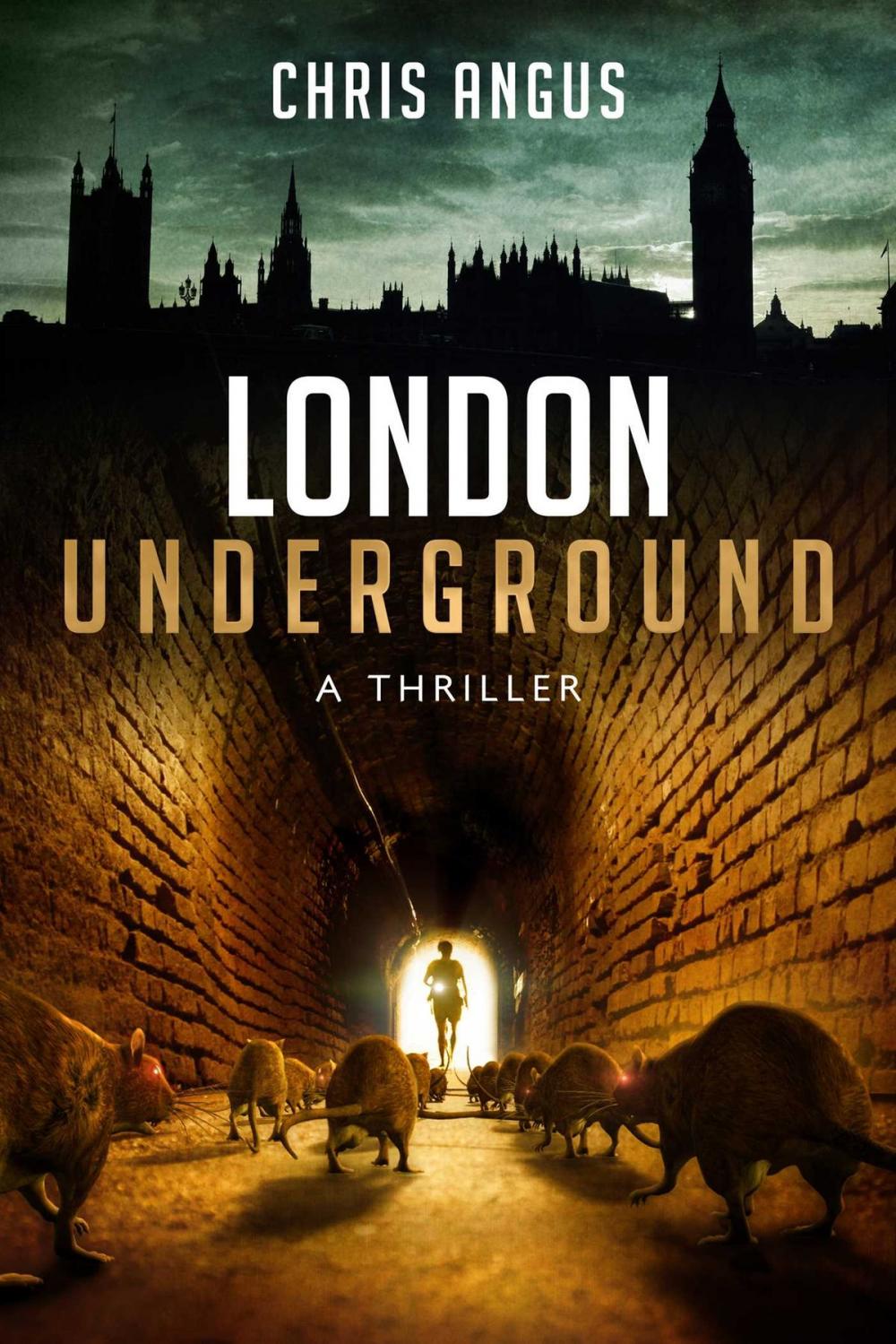 Big bigCover of London Underground