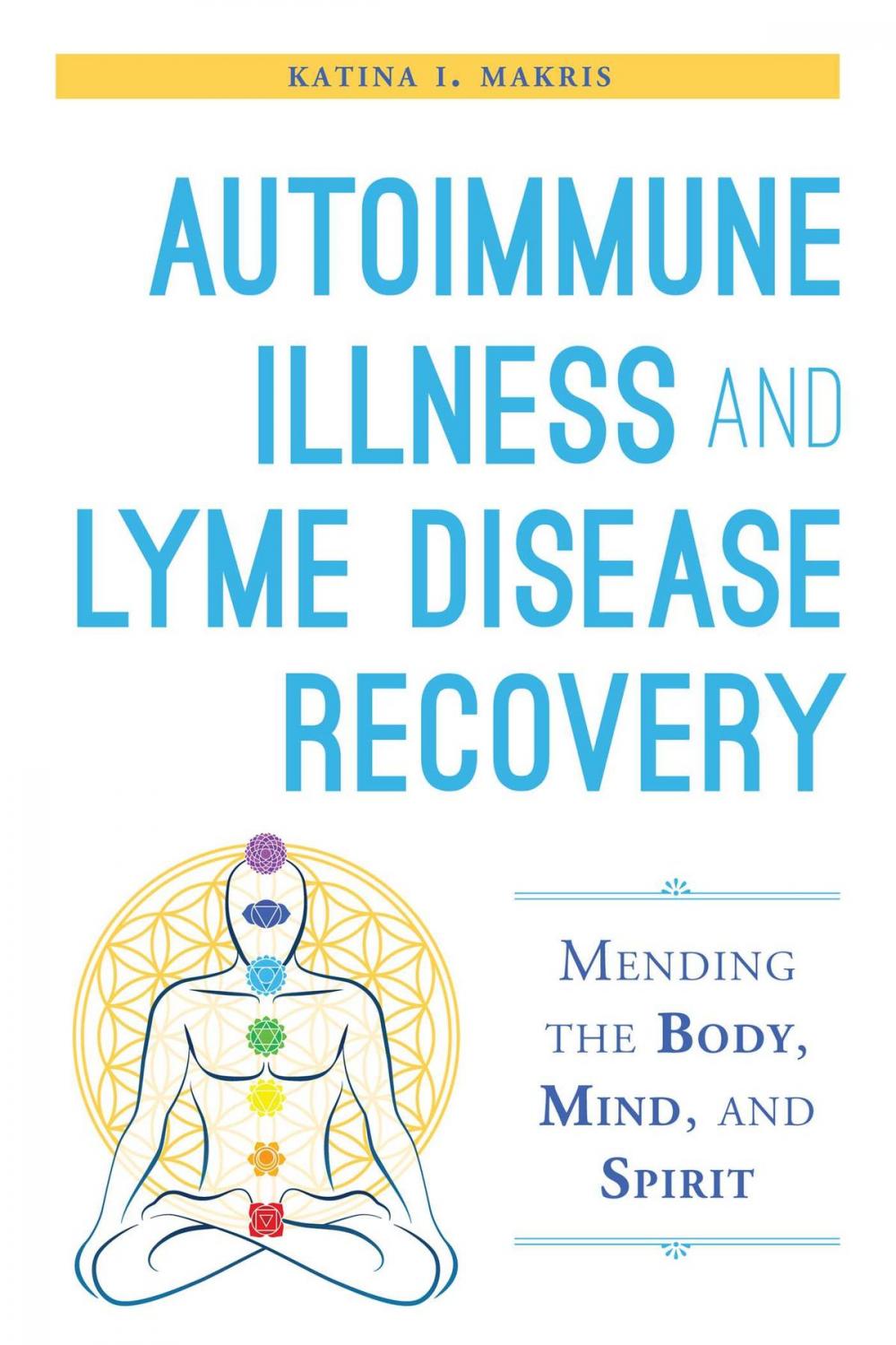 Big bigCover of Autoimmune Illness and Lyme Disease Recovery Guide