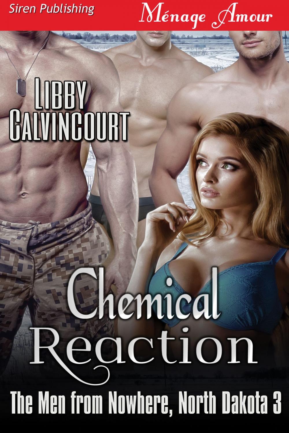 Big bigCover of Chemical Reaction