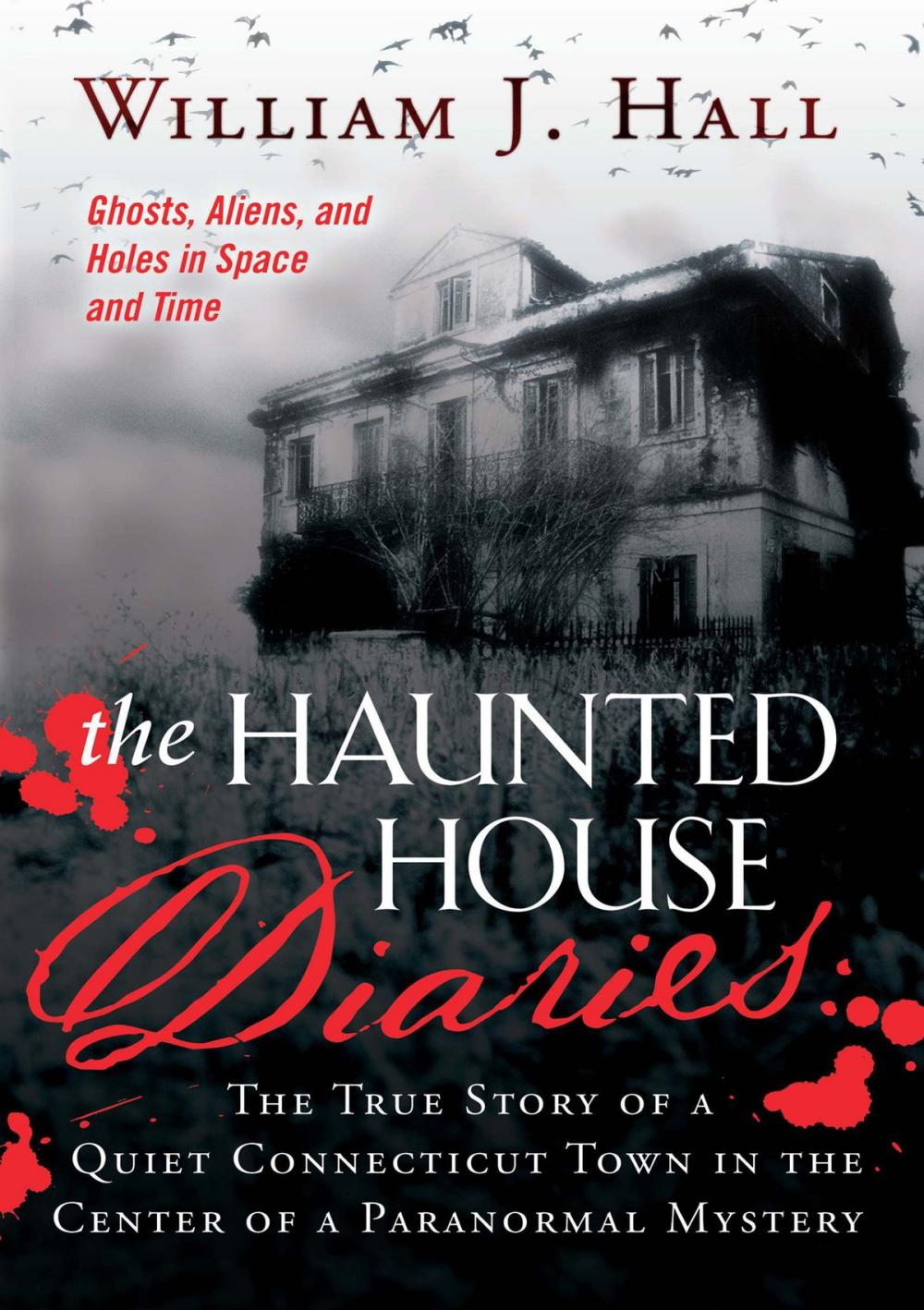 Big bigCover of The Haunted House Diaries