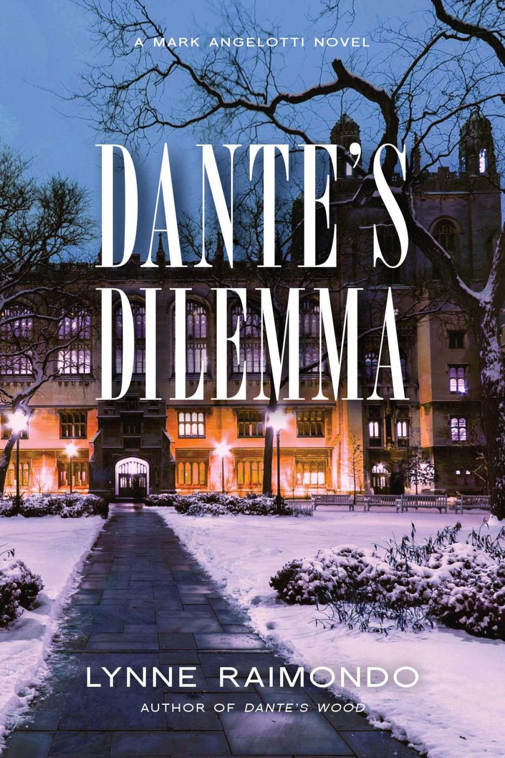 Big bigCover of Dante's Dilemma