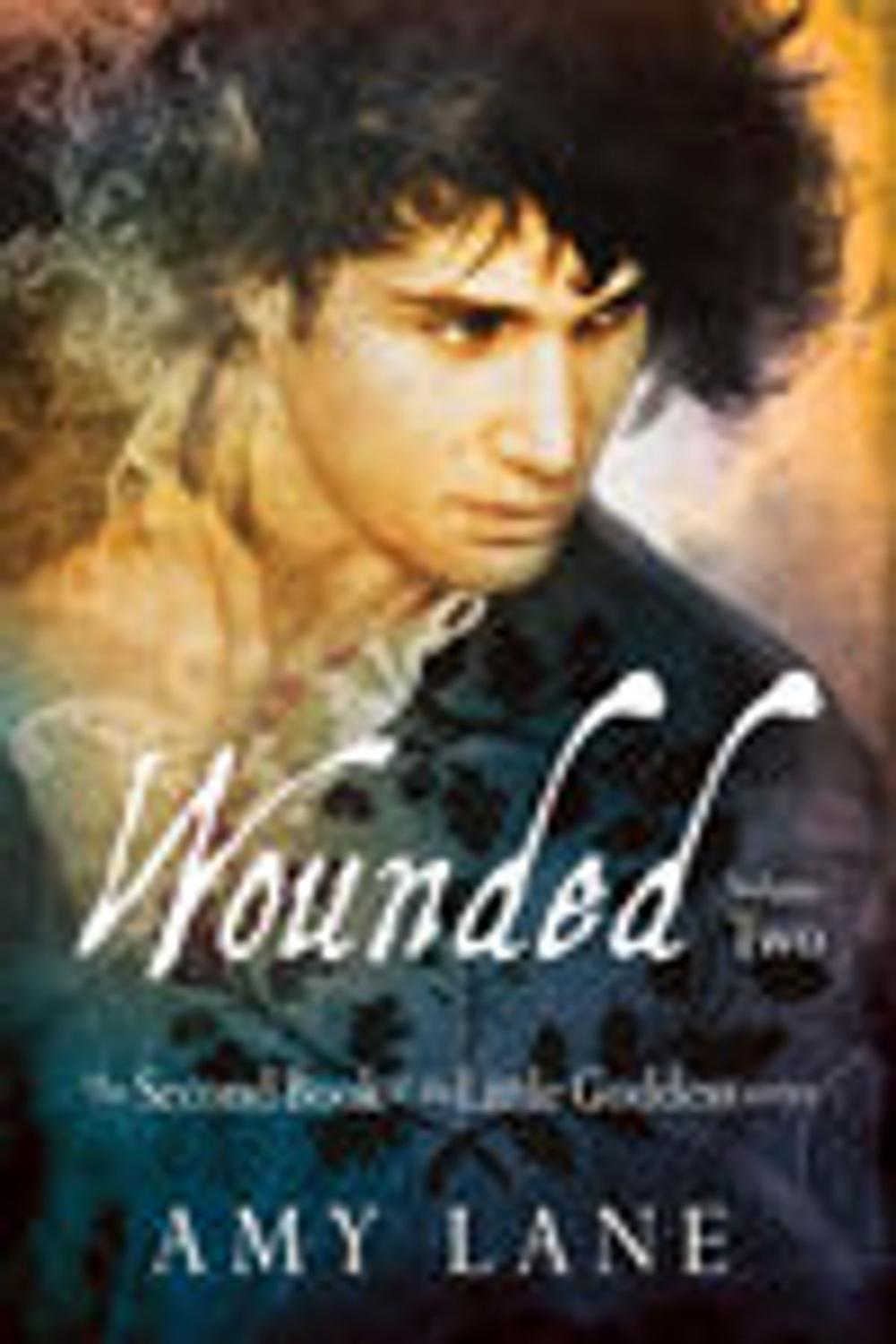 Big bigCover of Wounded, Vol. 2