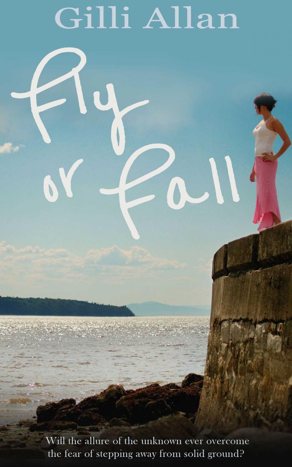 Big bigCover of Fly or Fall