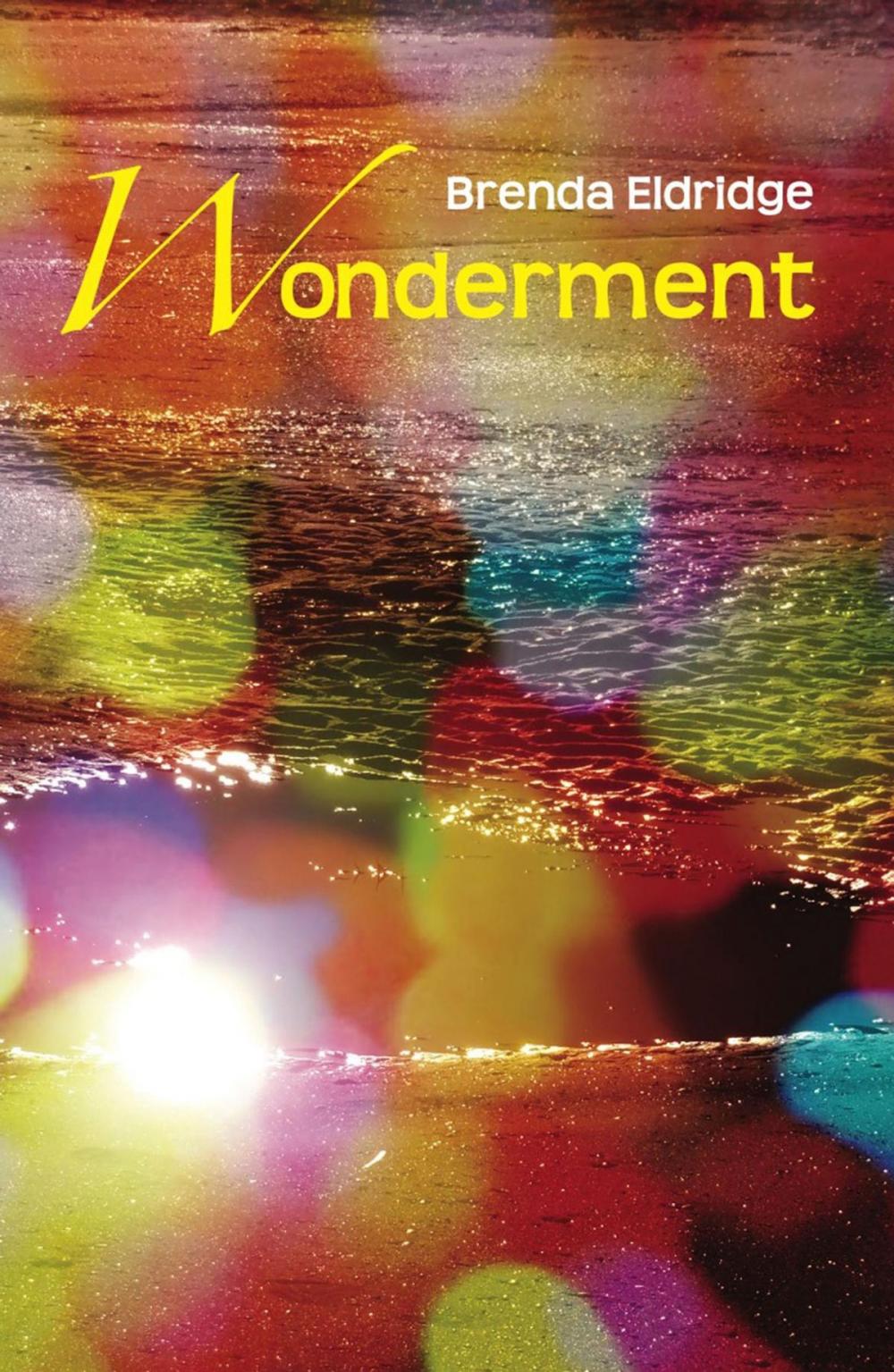 Big bigCover of Wonderment