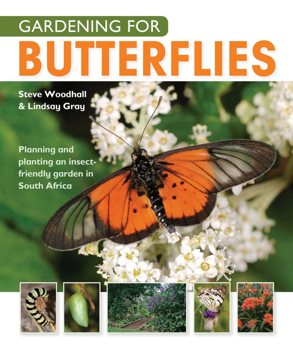 Big bigCover of Gardening for Butterflies