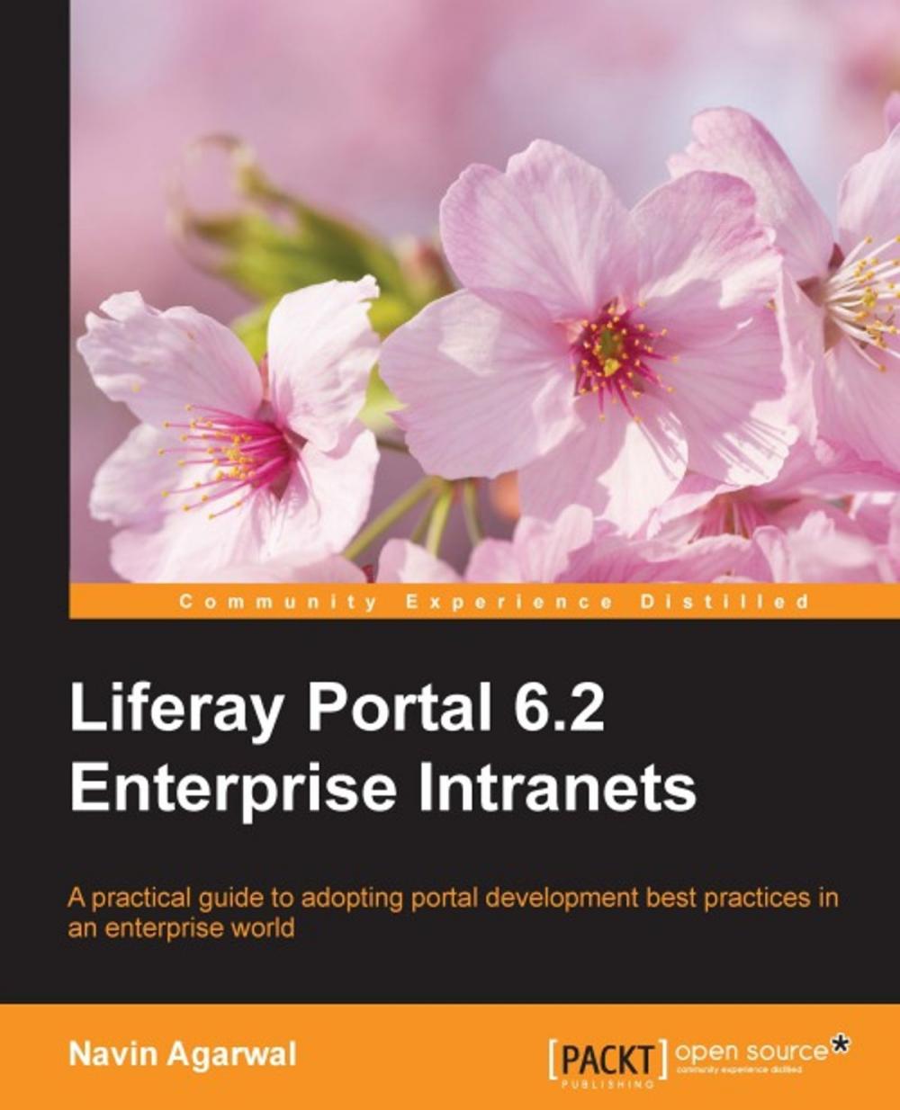 Big bigCover of Liferay Portal 6.2 Enterprise Intranets