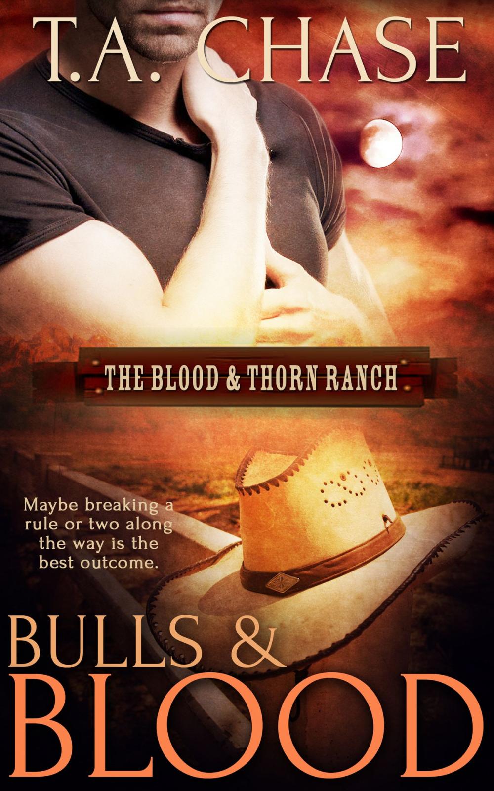 Big bigCover of Bulls and Blood