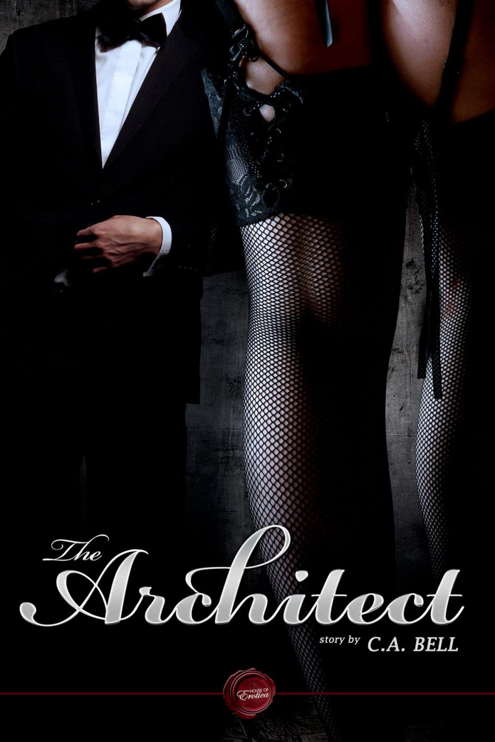 Big bigCover of The Architect