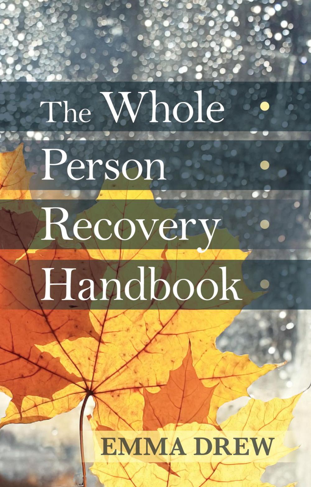 Big bigCover of The Whole Person Recovery Handbook