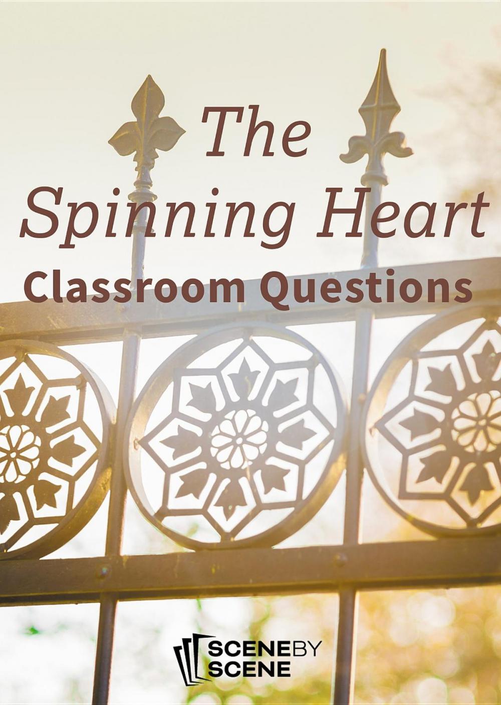 Big bigCover of The Spinning Heart Classroom Questions